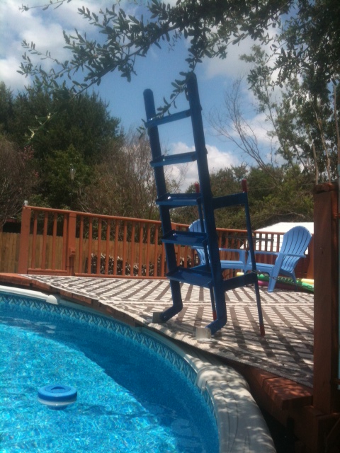 Residential Pool Marine Access Ladder